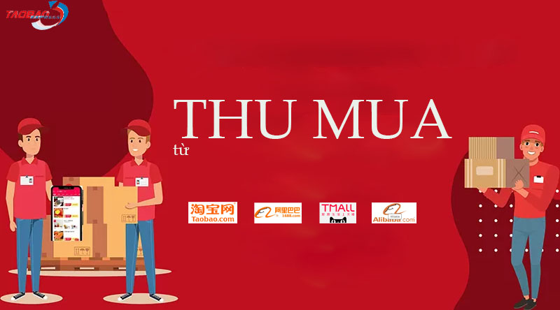 Dịch vụ Thu mua  (Taobao – Alibaba – 1688 – Tmall – Pinduoduo - Jingdong)